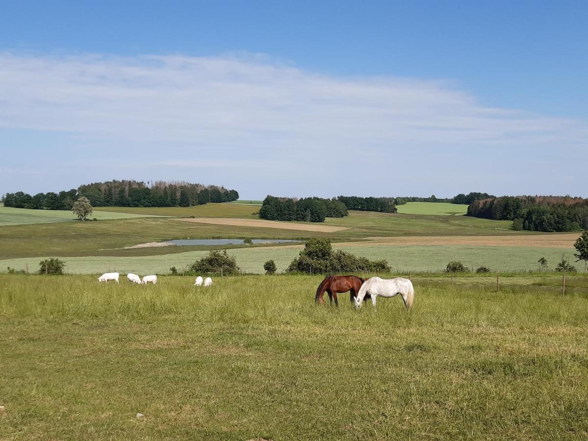 Ubytovani U Krivanku 1 Telč Buitenkant foto