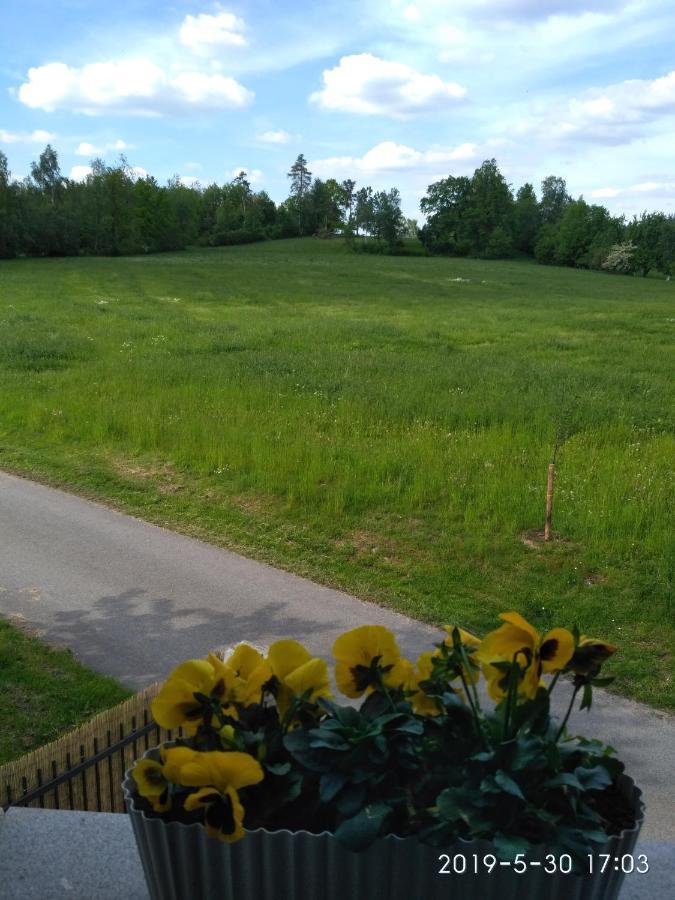 Ubytovani U Krivanku 1 Telč Buitenkant foto