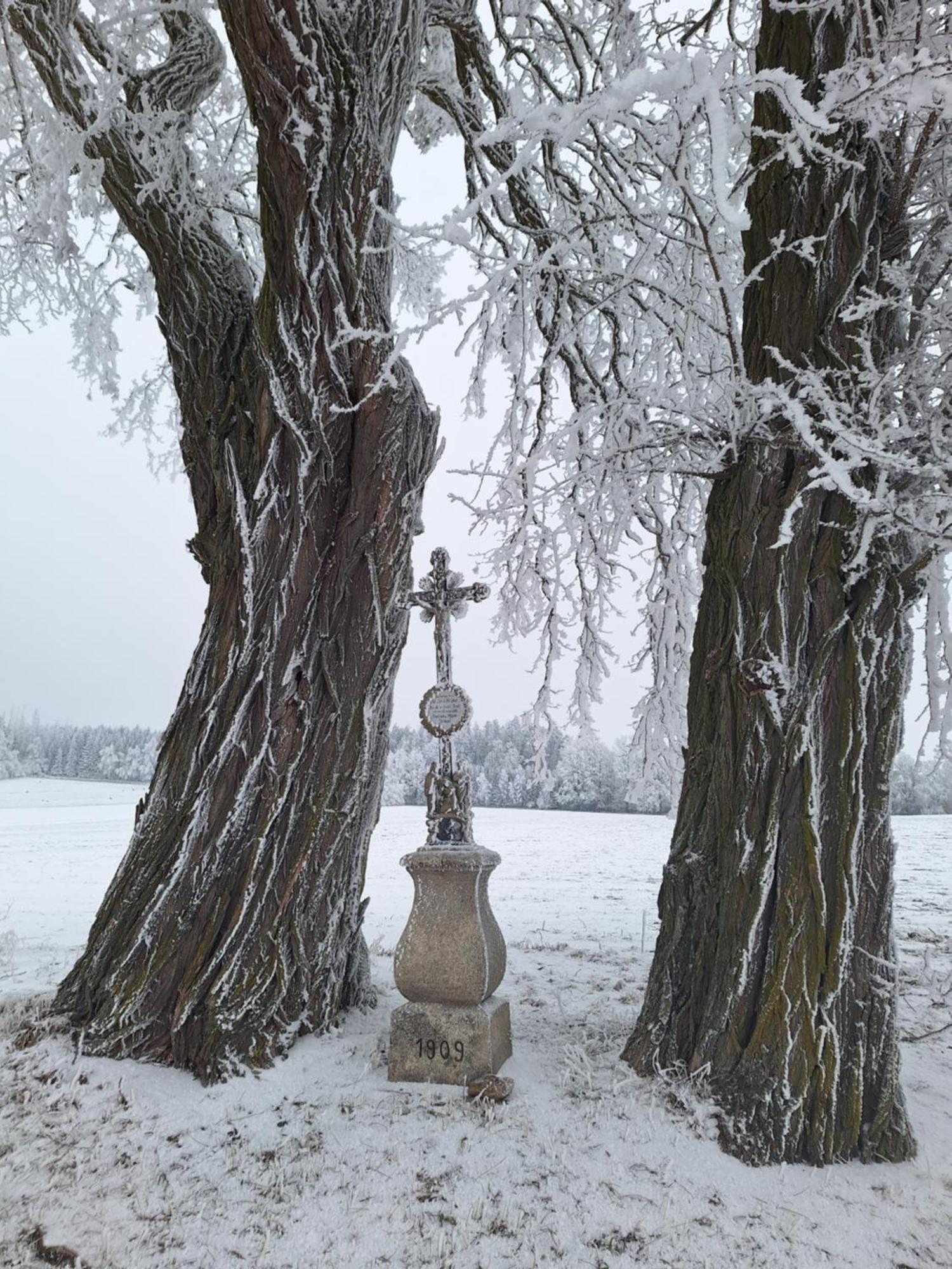 Ubytovani U Krivanku 1 Telč Buitenkant foto