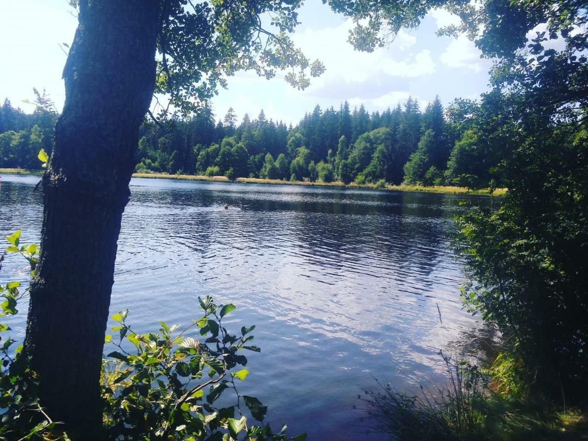 Ubytovani U Krivanku 1 Telč Buitenkant foto