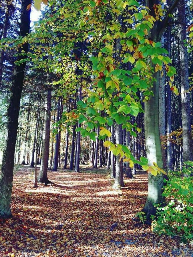 Ubytovani U Krivanku 1 Telč Buitenkant foto