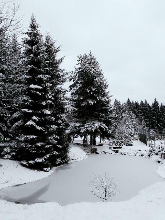 Ubytovani U Krivanku 1 Telč Buitenkant foto